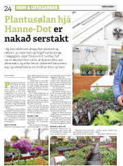Síða 24