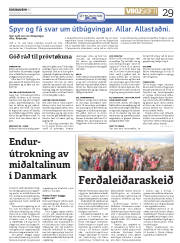 Síða 29