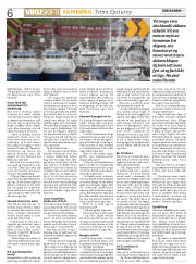Síða 6