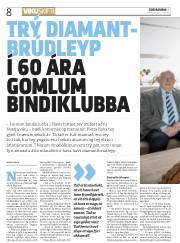 Síða 8