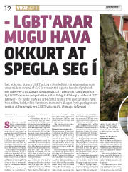 Síða 12
