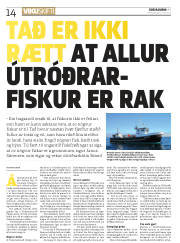 Síða 14