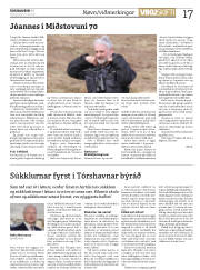 Síða 17