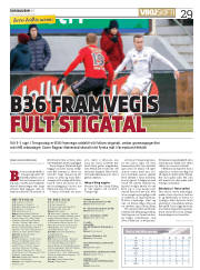 Síða 29