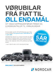 Síða 41