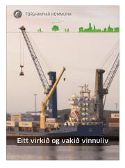 Síða 49