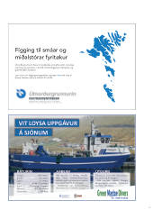 Síða 51
