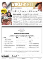 Síða 2