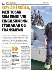Síða 12