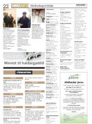 Síða 22