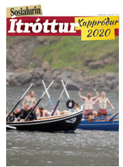 Síða 29