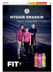Síða 31