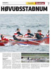 Síða 35