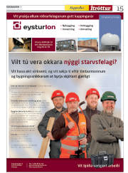 Síða 43