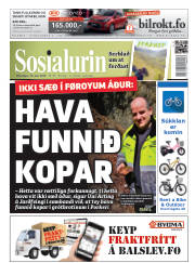 Síða 1
