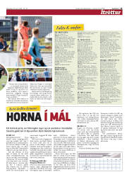 Síða 15