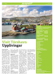 Síða 20