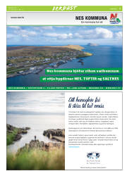 Síða 25