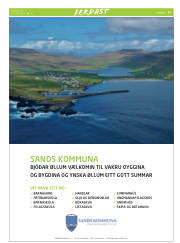 Síða 27
