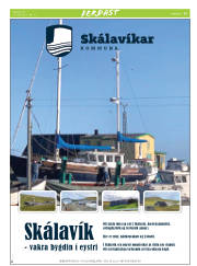 Síða 29