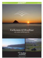 Síða 33
