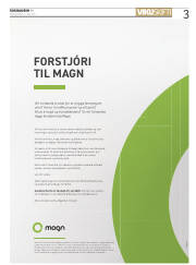 Síða 3