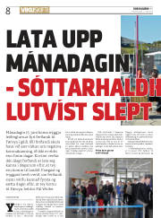 Síða 8