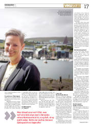 Síða 17