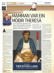 Síða 22