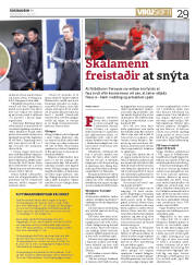 Síða 29