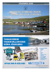 Síða 17