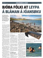 Síða 19