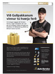 Síða 3
