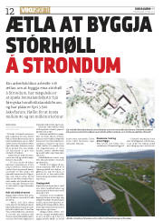 Síða 12