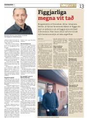 Síða 13
