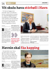 Síða 14