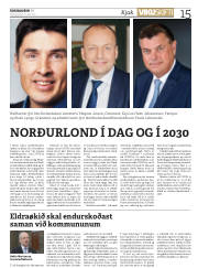 Síða 15