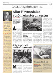 Síða 17