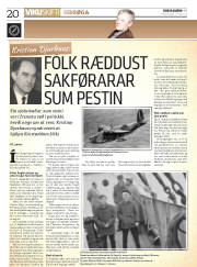Síða 20