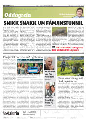 Síða 2