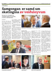 Síða 6