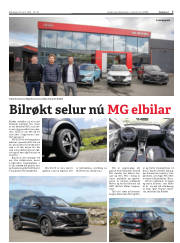 Síða 7
