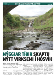 Síða 11