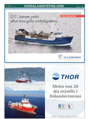 Síða 17