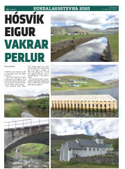 Síða 20