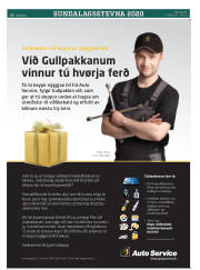 Síða 22