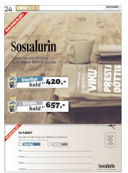 Síða 24