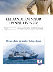 Síða 29