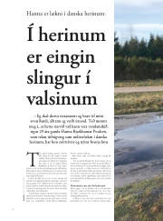 Síða 34