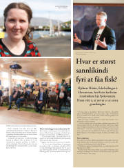 Síða 41